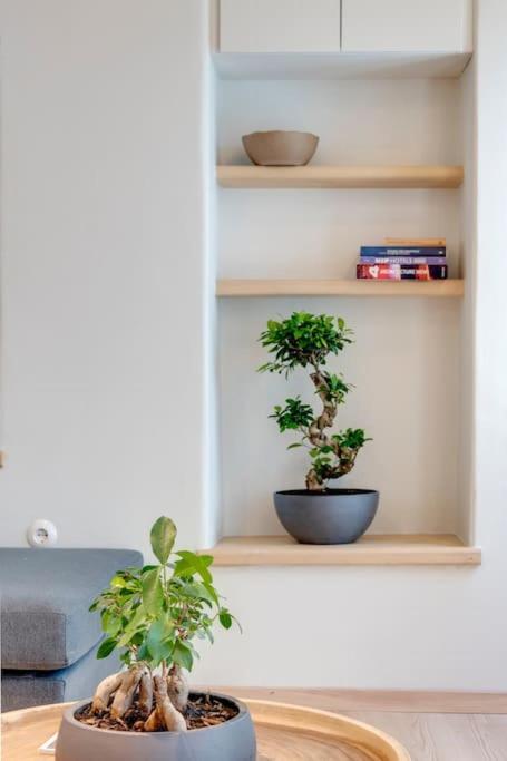 Nomade Vibrant Living Loft Lägenhet Ermoupoli Exteriör bild